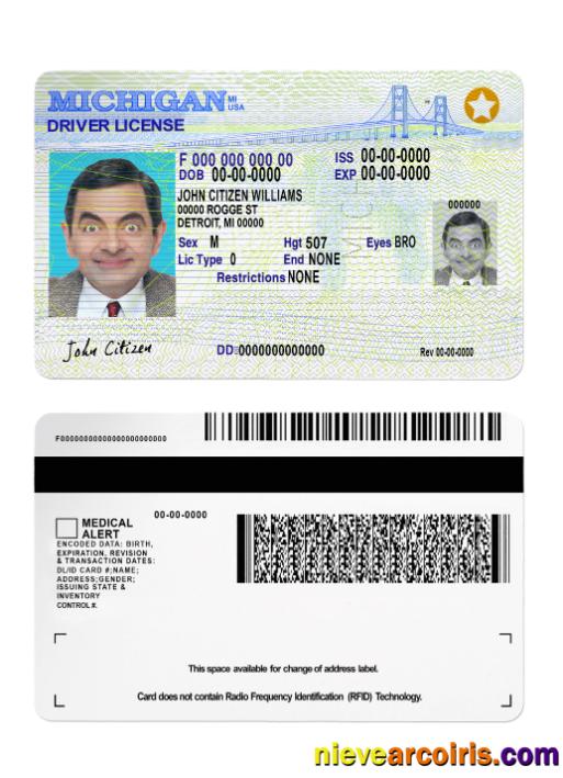 USA Michigan driving license 2021-present